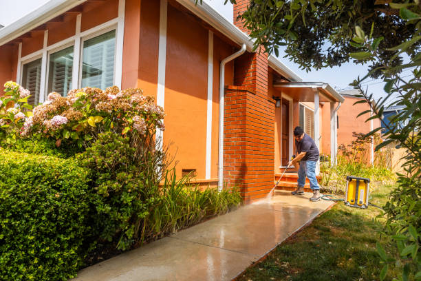 Best Pressure Washing Driveway  in Sundance, WY